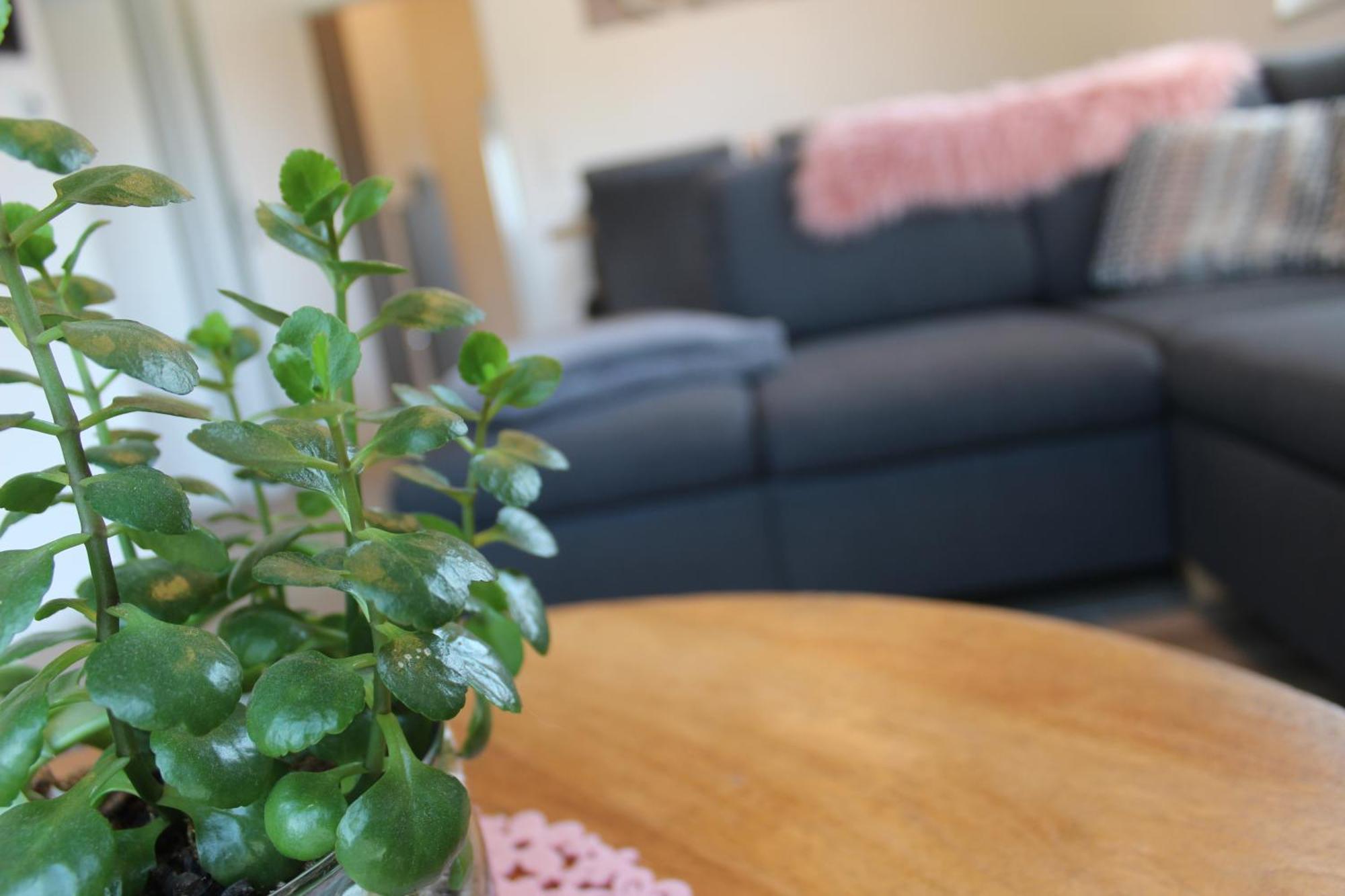 Ferienhaus Seehuis, Sauna, Angeln, Familienfreundlich Twist Εξωτερικό φωτογραφία